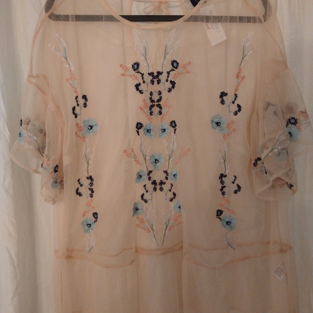 Kaari Blue Curvy Sheer Pink Embroidered Blouse - Picture 6 of 9